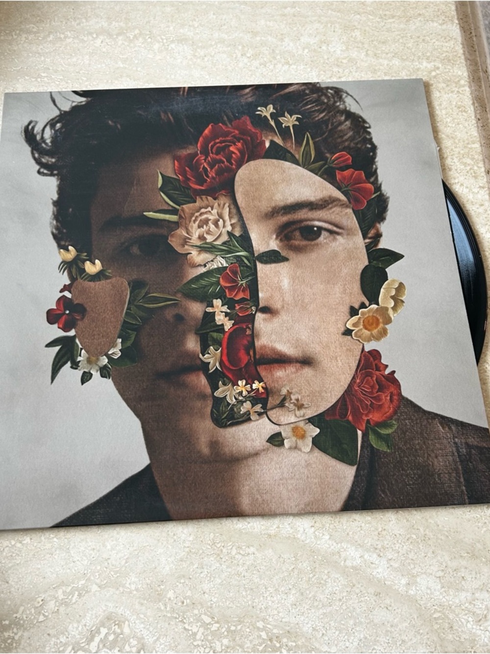 Shawn mendes vinyl album
